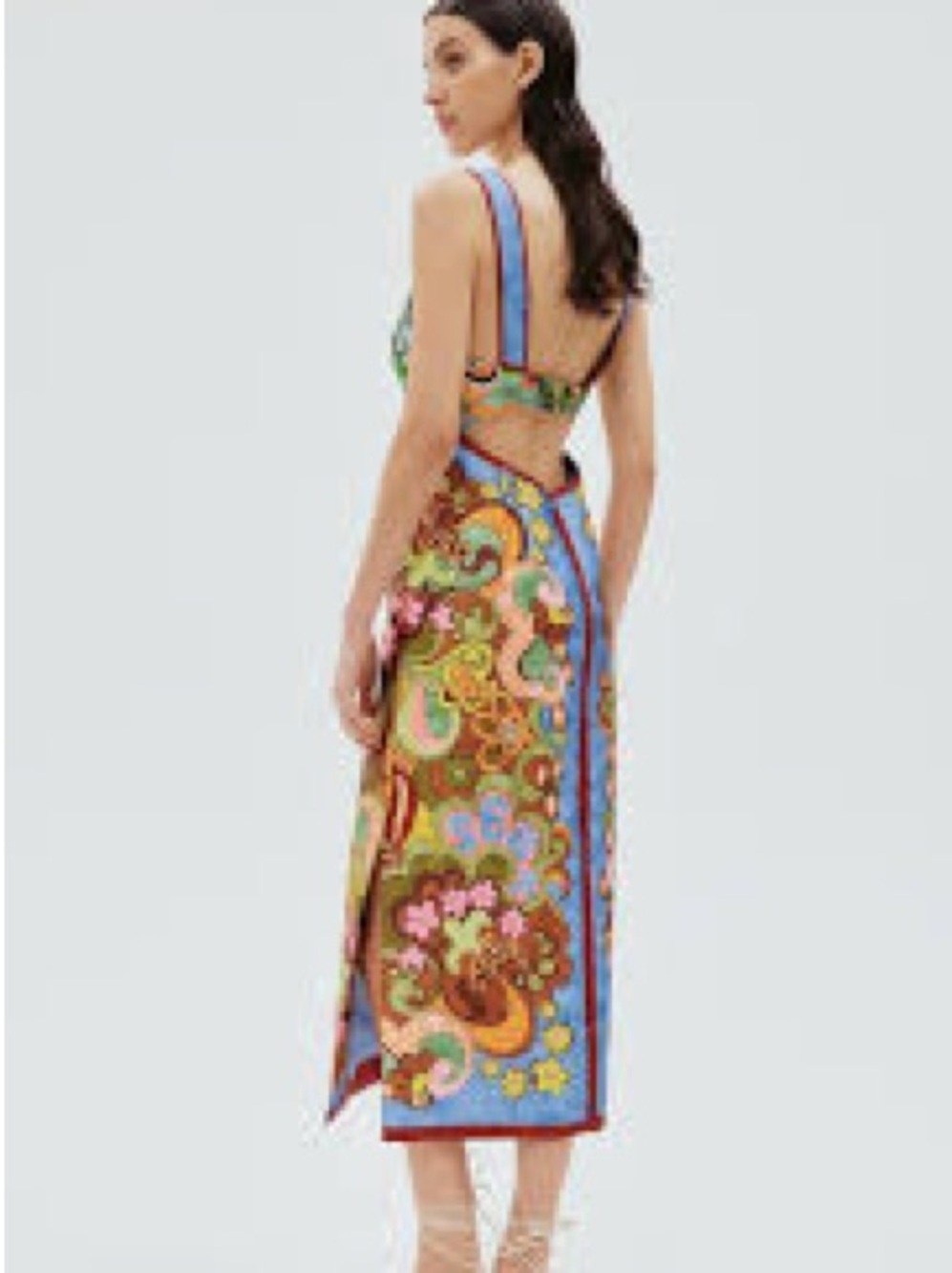 Alemais Dreamer Corset Multicolor Floral Print Midi Dress - Picture 3 of 9